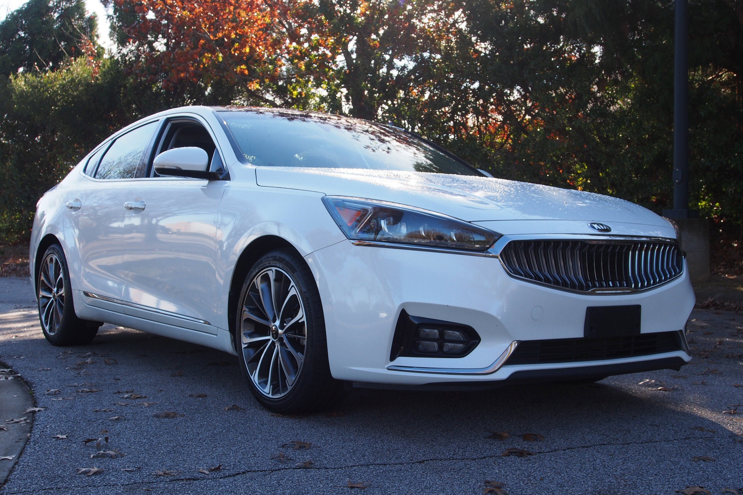 2019 Kia Cadenza Technology