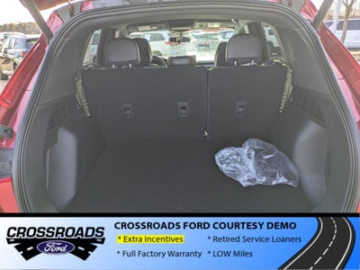 2025 Ford Escape ST-Line - Crossroads Courtesy Demo