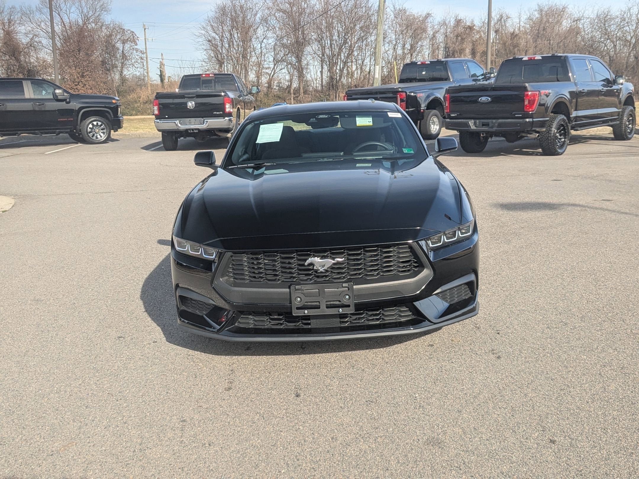2024 Ford Mustang EcoBoost