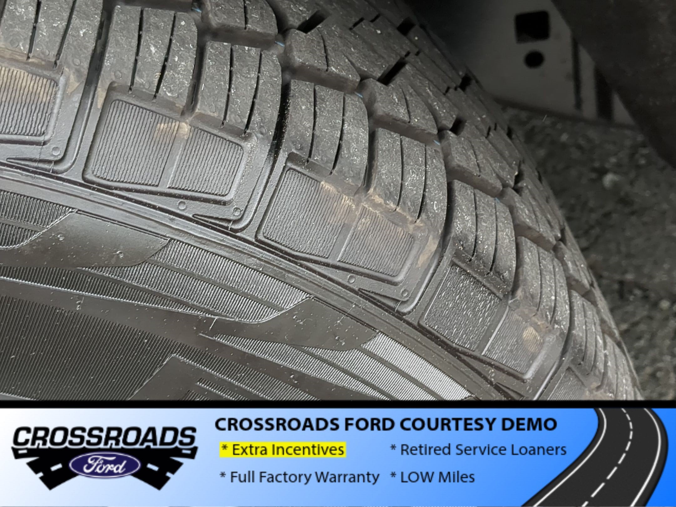 2025 Ford Expedition Max Active - Crossroads Courtesy Demo