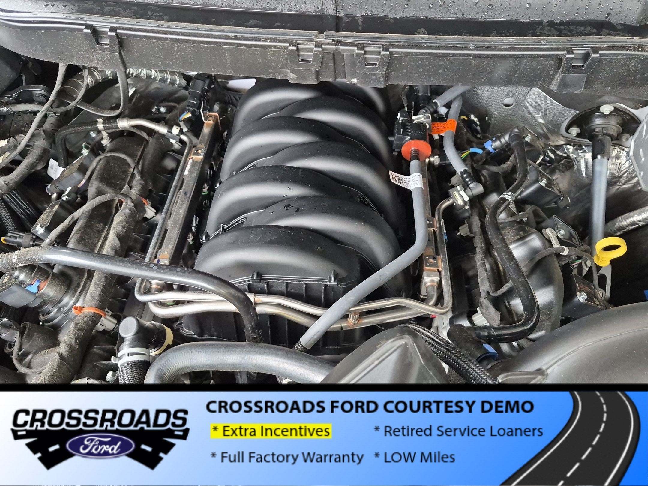 2026 Ford F-150 XLT - Crossroads Courtesy Demo