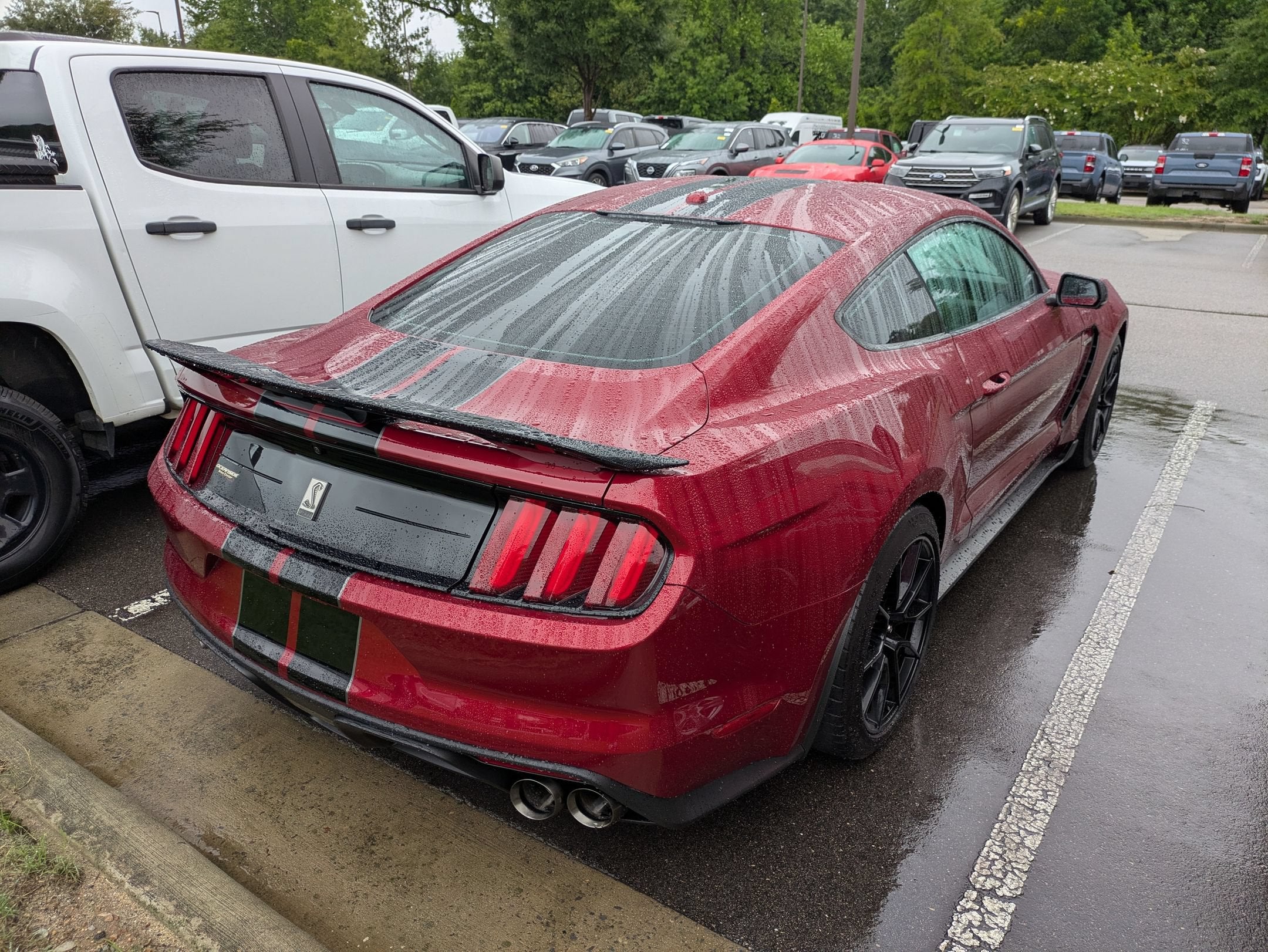 2019 Ford Mustang Shelby GT350
