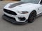 2021 Ford Mustang Mach 1