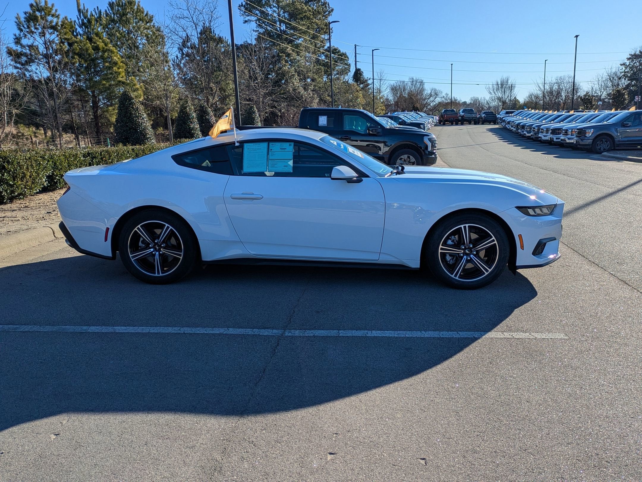 2025 Ford Mustang EcoBoost