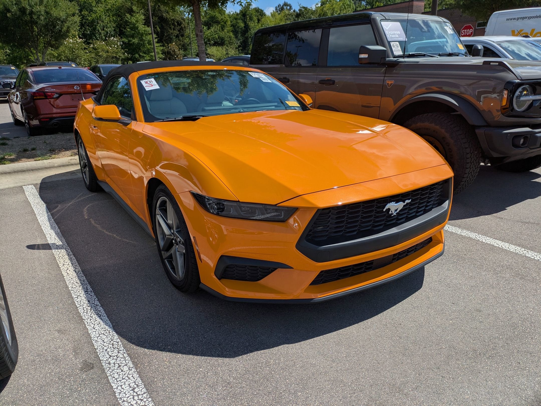 2026 Ford Mustang's photo