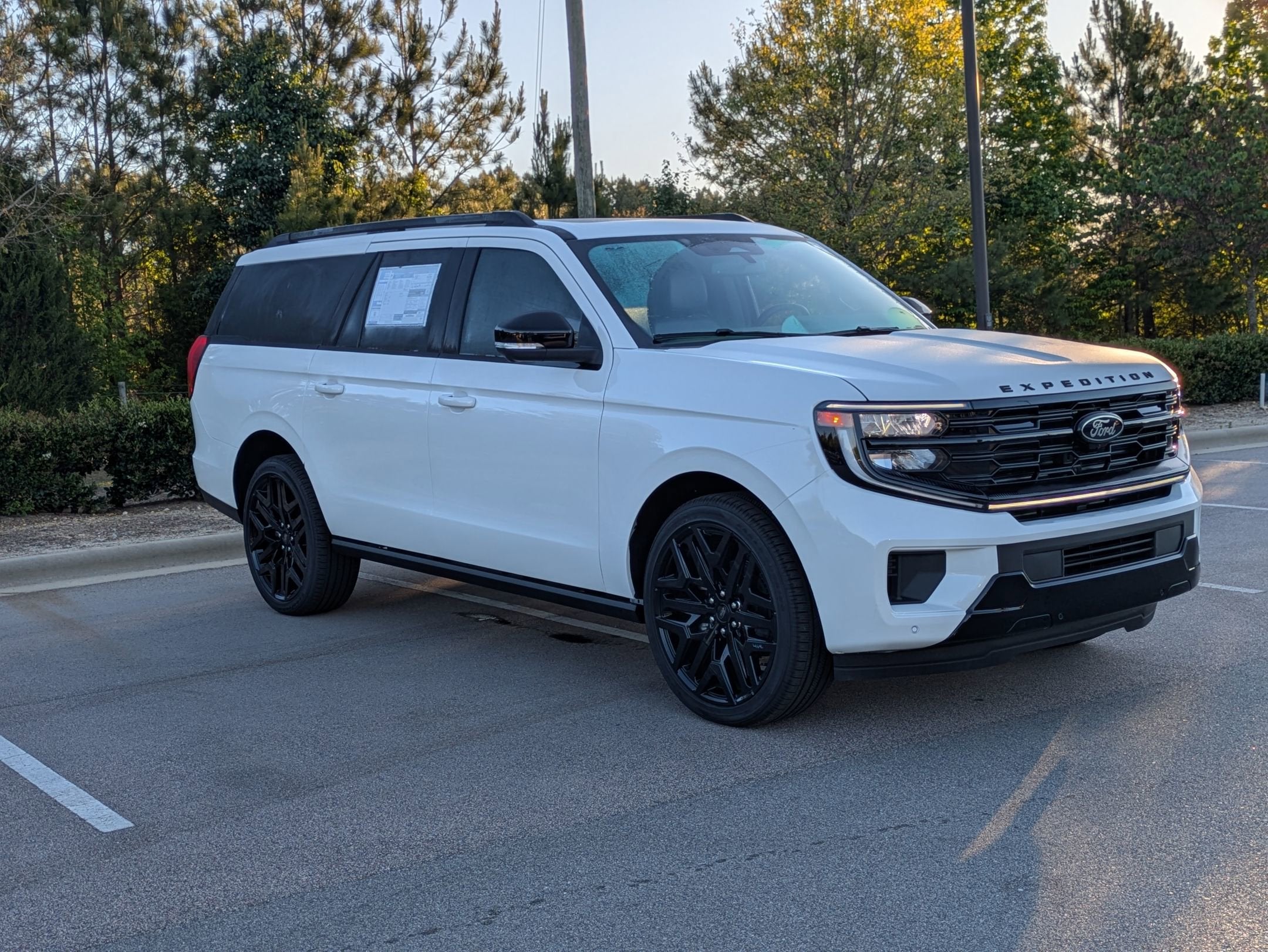 2026 Ford Expedition Platinum MAX 4x4's photo