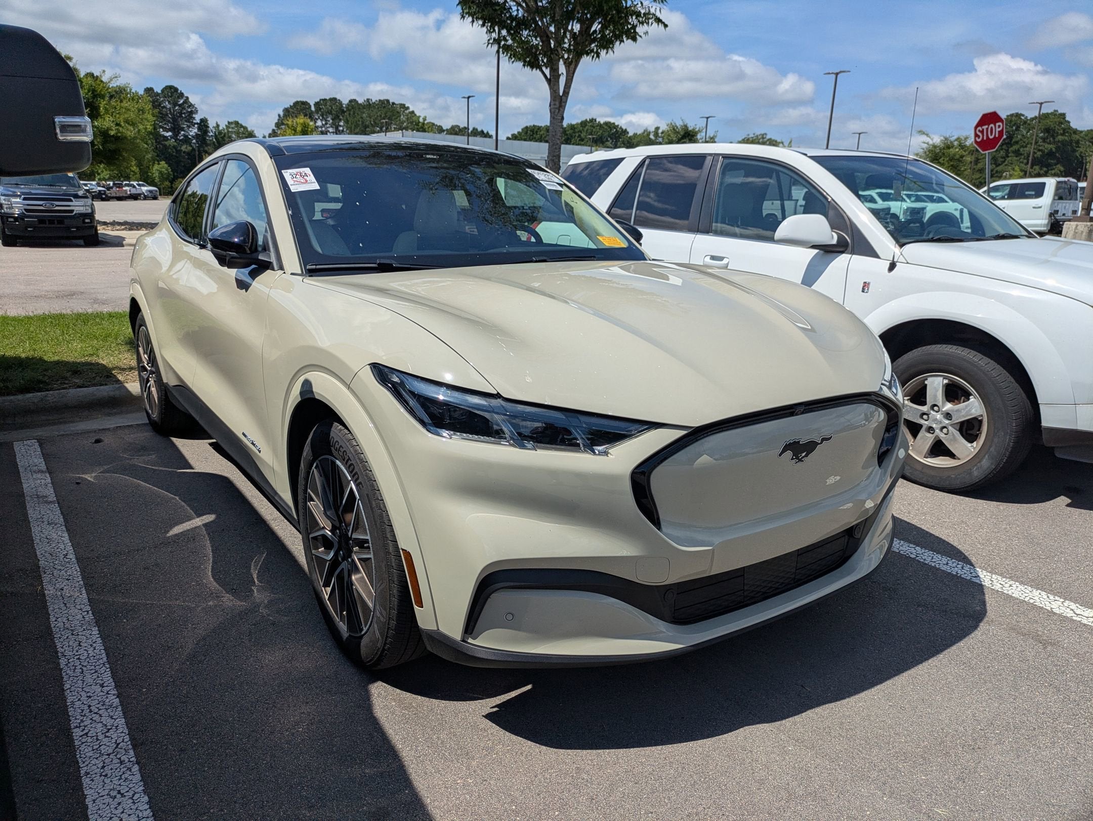 2025 Ford Mustang-Mach-e's photo