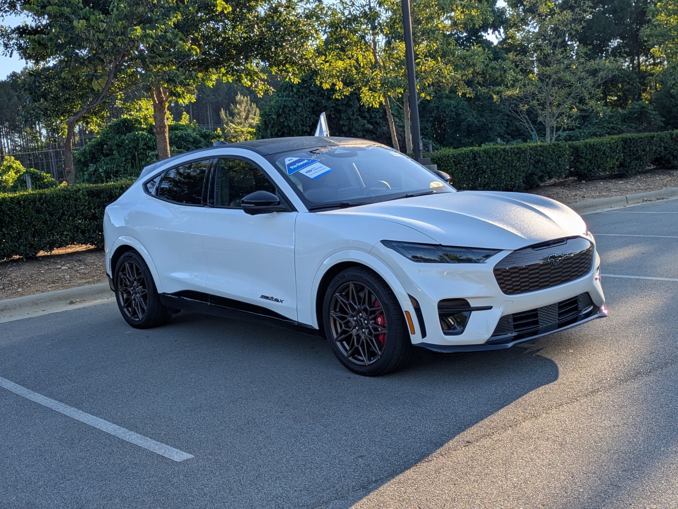 2025 Ford Mustang Mach-E GT