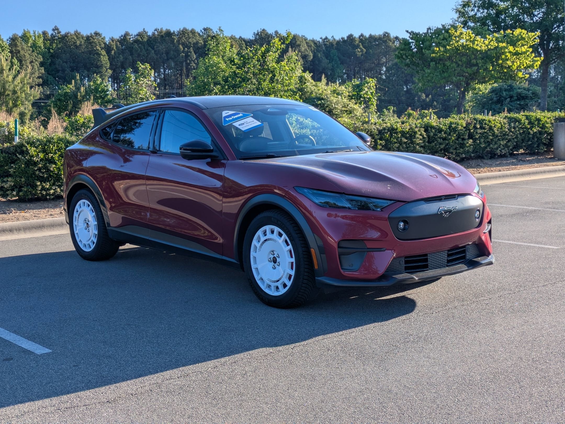 2025 Ford Mustang-Mach-e GT's photo