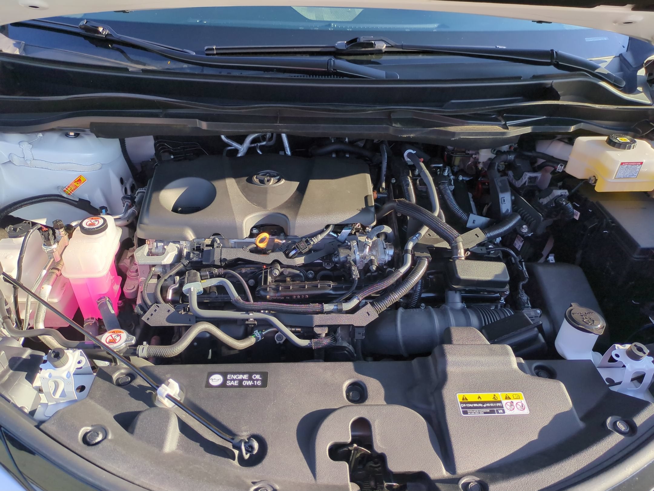 2025 Toyota Sienna XSE
