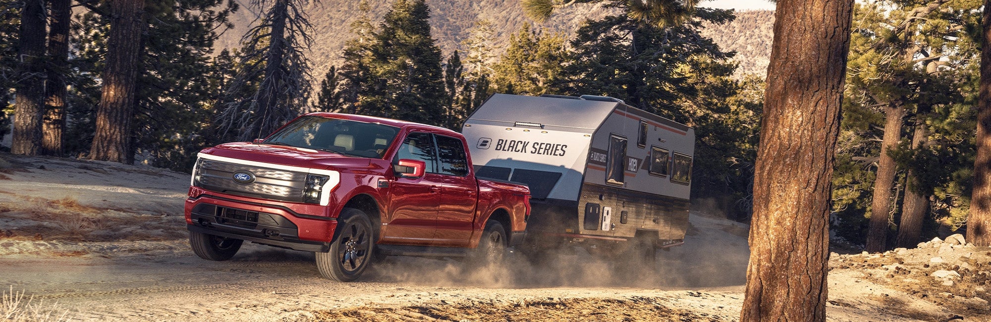 Ford F-150 Lightning Exterior